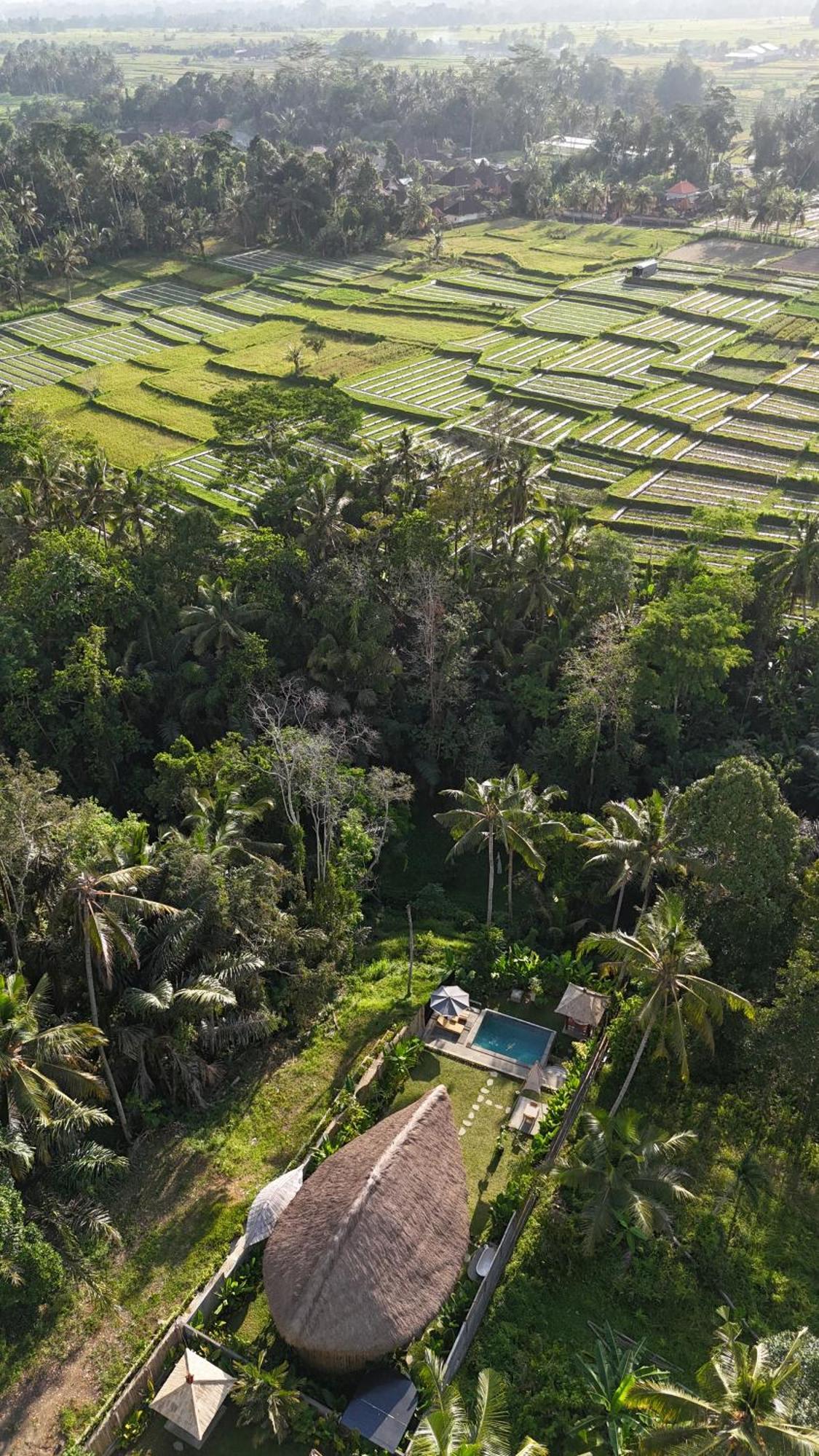 Pitu, A Punggul Village Escape Sangeh Zewnętrze zdjęcie